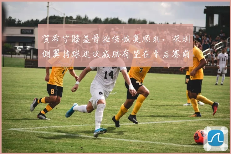 贺希宁膝盖骨挫伤恢复顺利，深圳侧翼持球进攻威胁有望在季后赛前恢复到最佳
